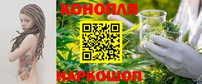 индика Жуковский