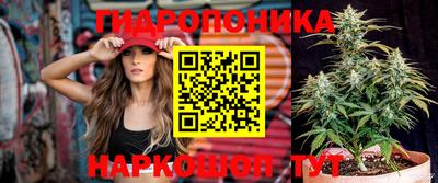 прущие грибы Заводоуковск