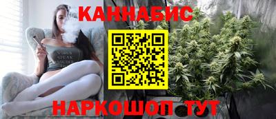 индика Жуковский
