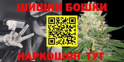 прущие грибы Заводоуковск