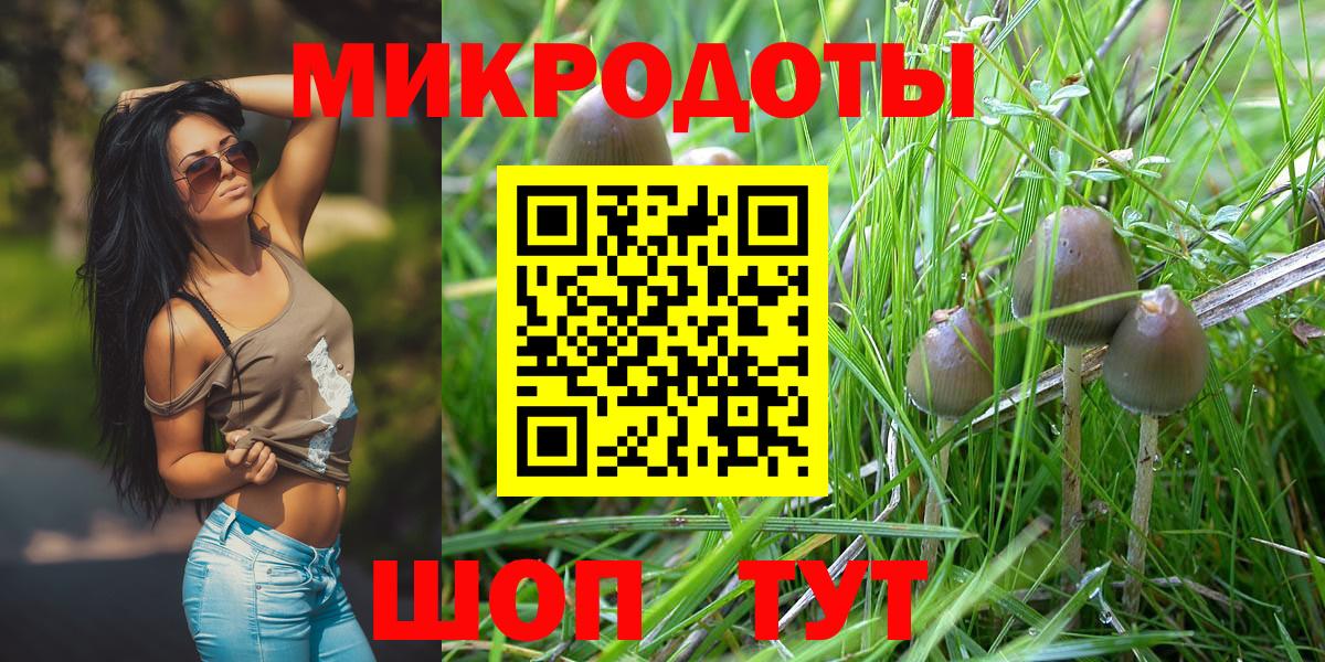 Лесной  Галлюциногенные грибы мицелий  где найти   Вход с VPN 